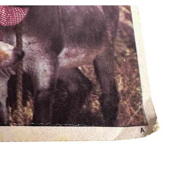 GAF View-Master Showtime Lassie and Timmy 3 Reel Packet B474 - Picture 4 of 14